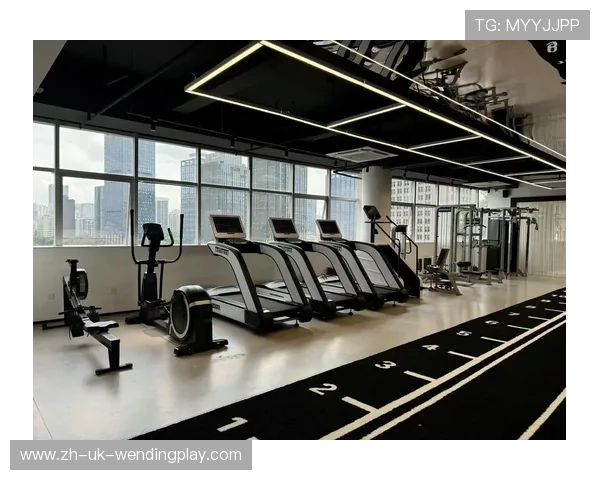 高端健身器材:奢华与专业的高端健身器材推荐 高端健身器材:奢华与专业的高端健身器材推荐