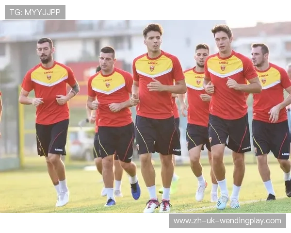 足球赛事中的明星球员与战术执行