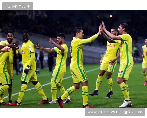 黄绿风暴席卷法兰西 南特队史最辉煌赛季全景回顾